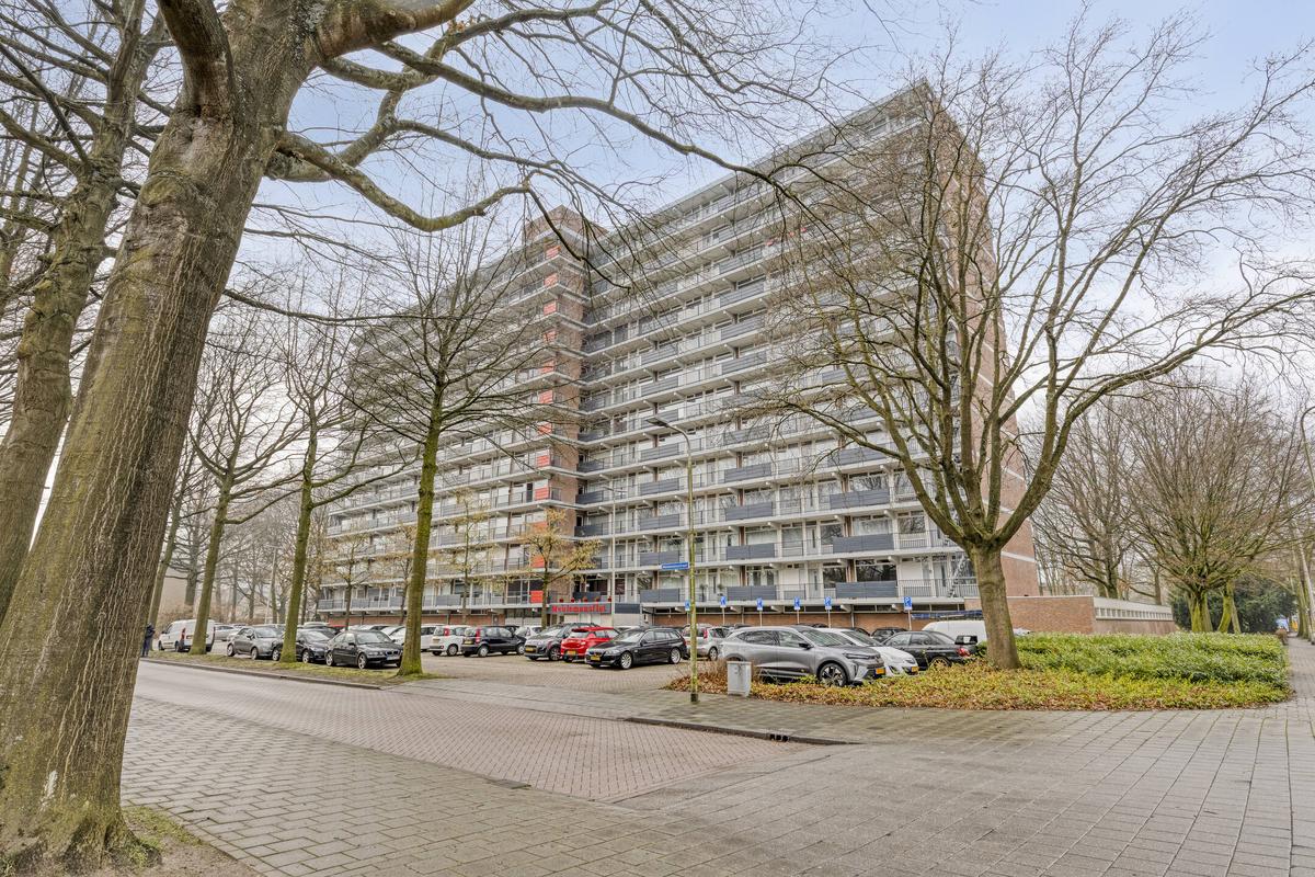 Meulemansstraat 177  | 5012 HG Tilburg