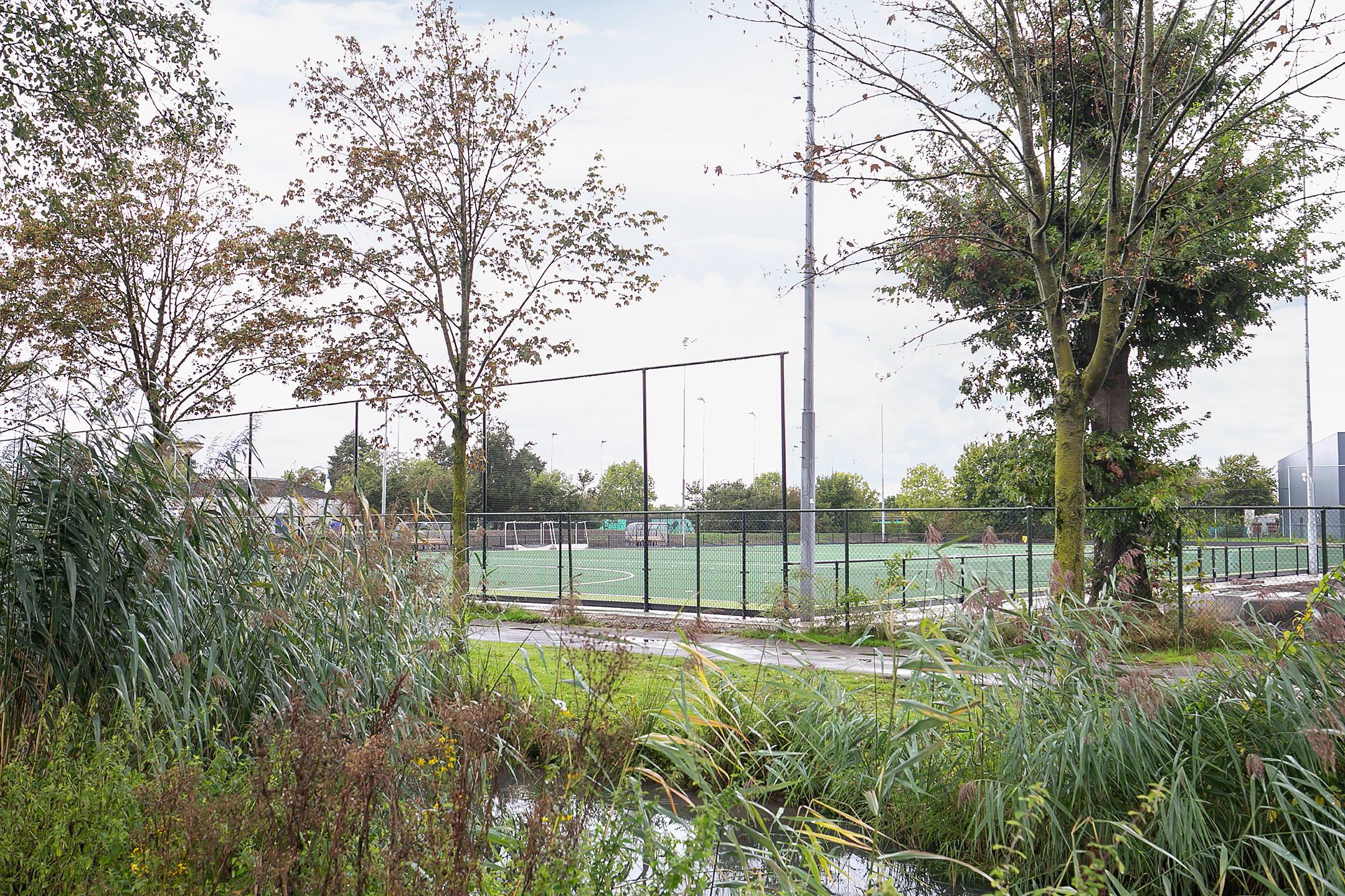 Tennisbanen in een groene omgeving in Hilvarenbeek